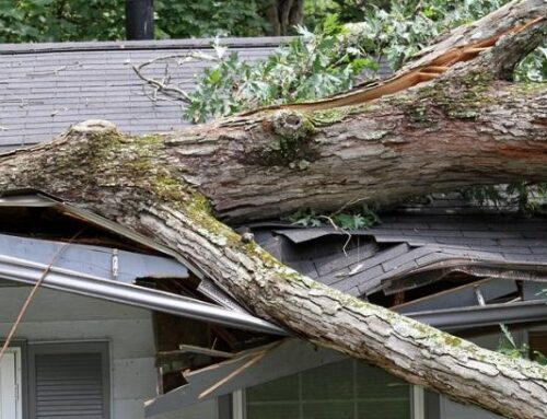 Wind Damage – What Can Wind Do To A Roof?