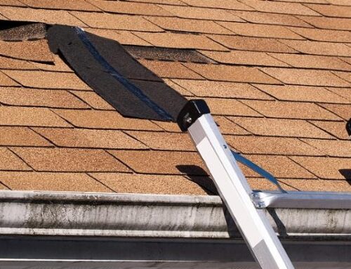 Roof Repair or Replacement – Crucial Factors to Consider!