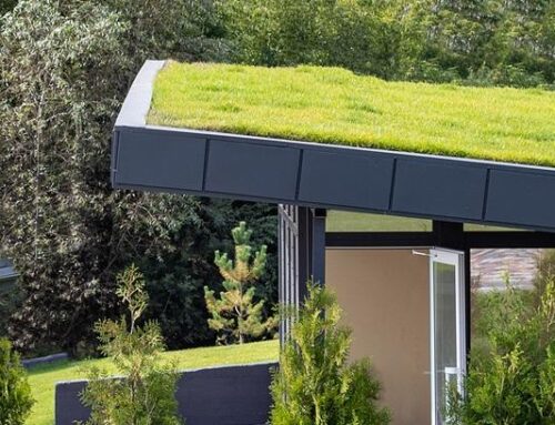 The Pros and Cons of Cool Roofs vs Green Roofs!